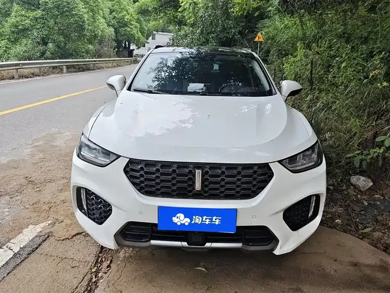 WEY VV5 2.0 T Super Luxury