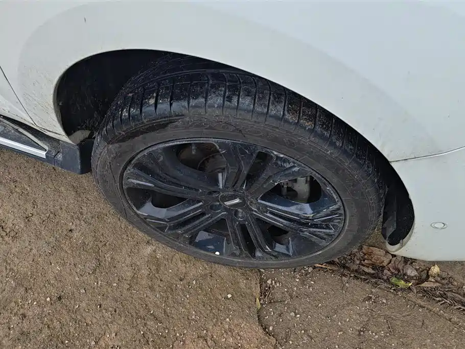 WEY VV5 2.0 T Super Luxury