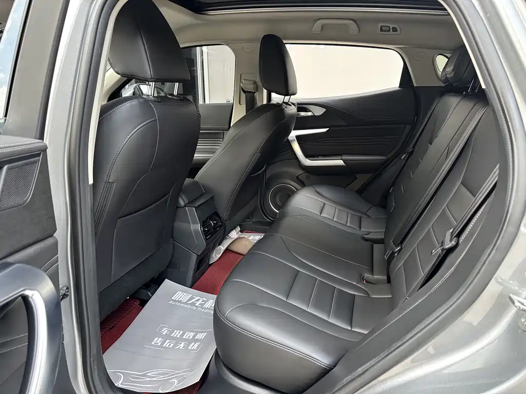 WEY VV5 魏牌 VV5 2020款 2.0 T 两驱擎先锋