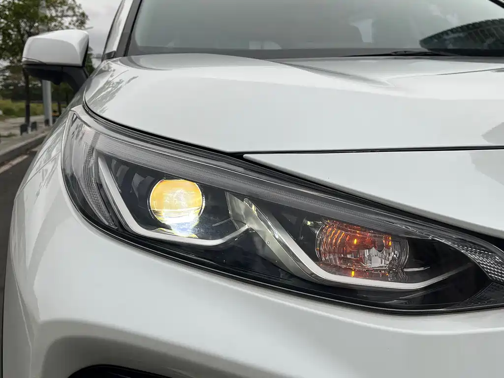 Wildlander 2.0 L CVT 4 WD Distinguished