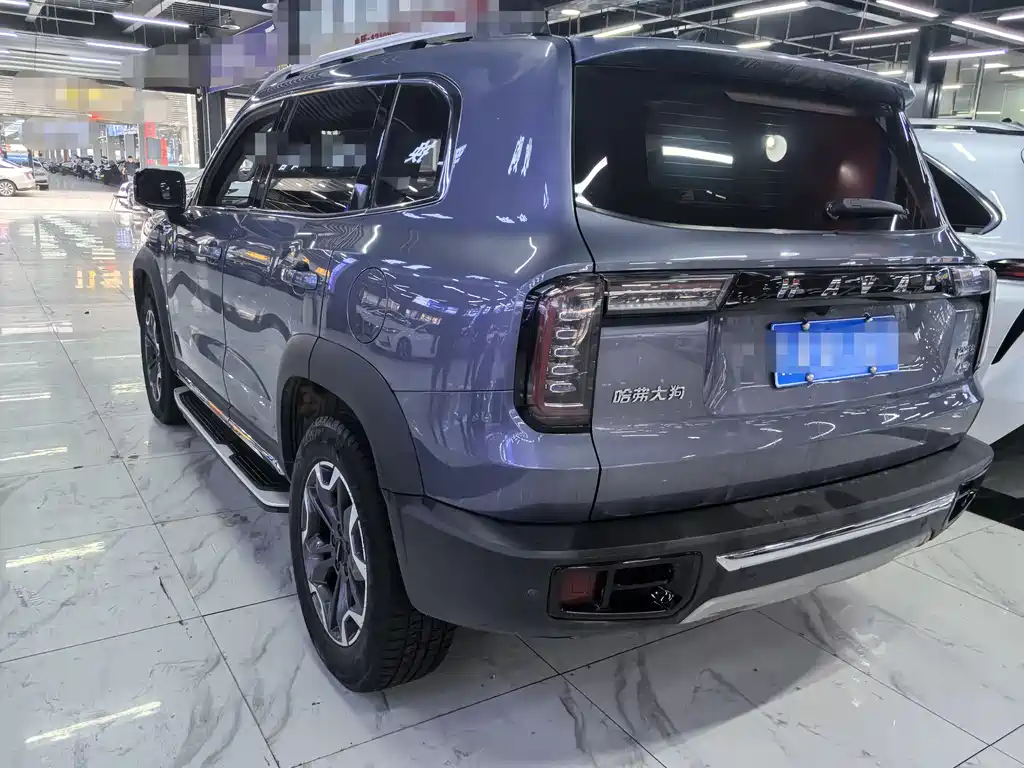 Haval Dargo 2.0 T DCT 4 WD Brilliance Country Dog