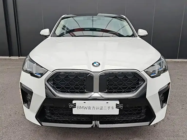 BMW X2 (Import) sDrive25 i M Sport Package