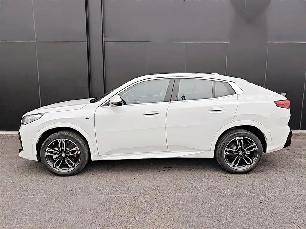 BMW X2 (Import) sDrive25 i M Sport Package