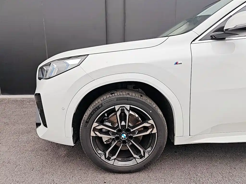BMW X2 (Import) sDrive25 i M Sport Package