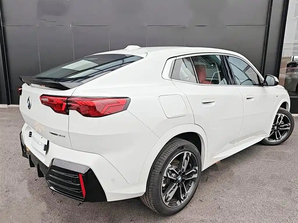 BMW X2 (Import) sDrive25 i M Sport Package