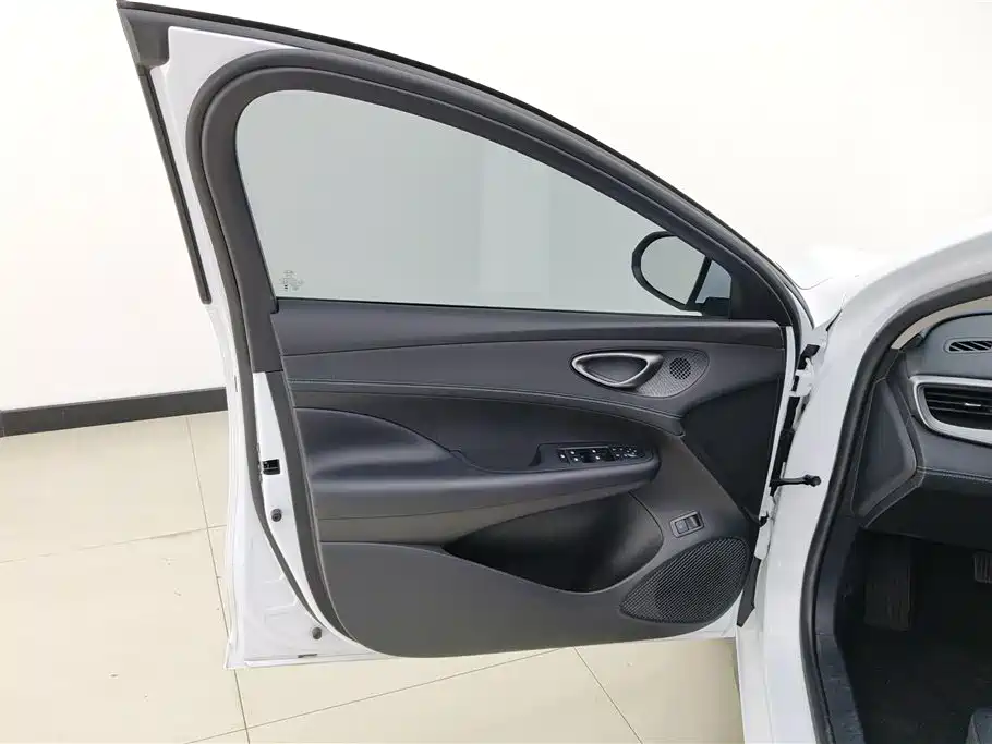 Seal 05 DM-i DM-i Smart Drive 55 KM Luxury