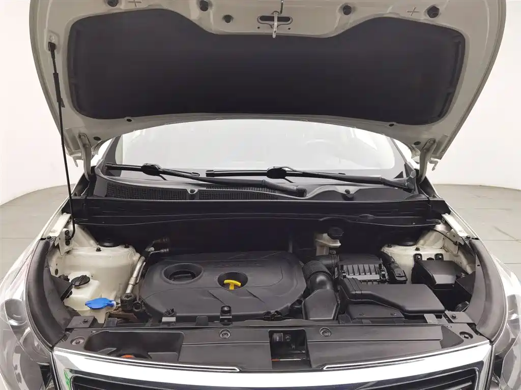Sportage 2.0 L Auto 2 WD DLX