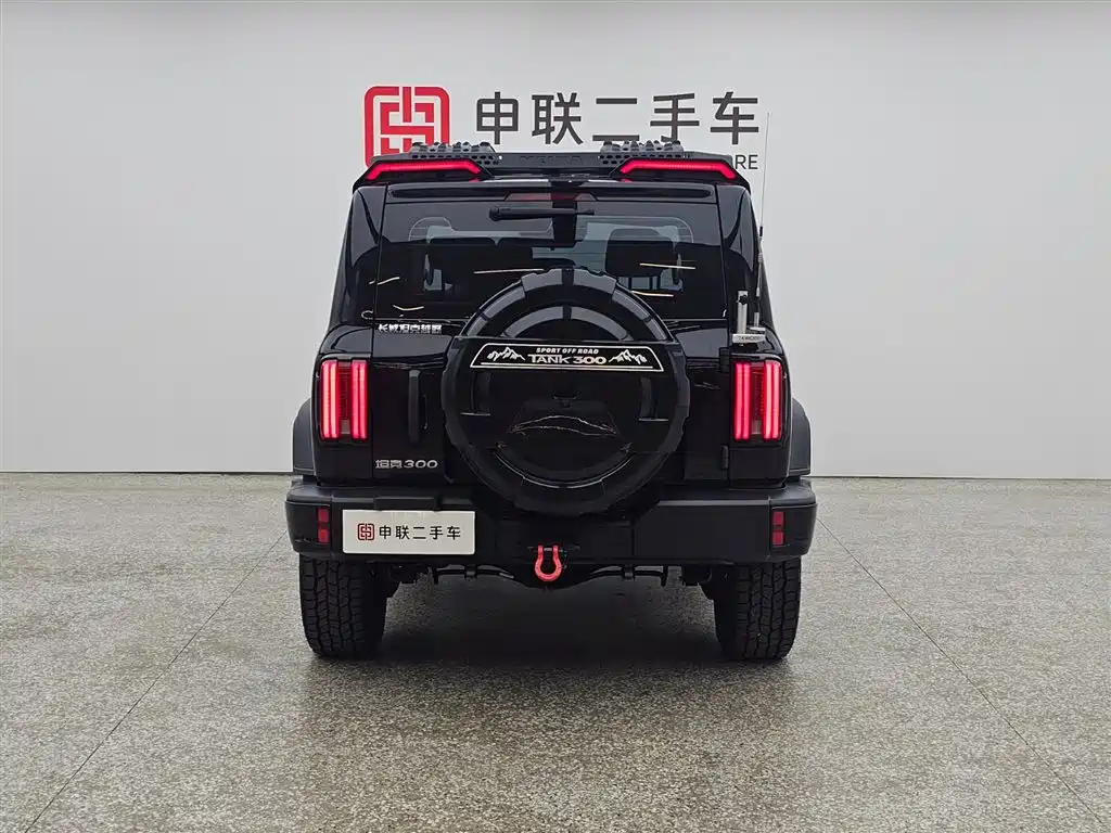 Tank 300 2.0 T Gasoline Conqueror