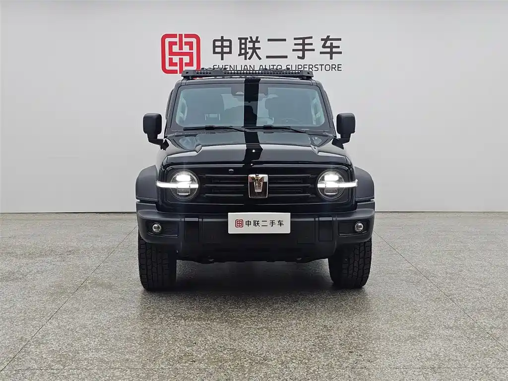 Tank 300 2.0 T Gasoline Conqueror