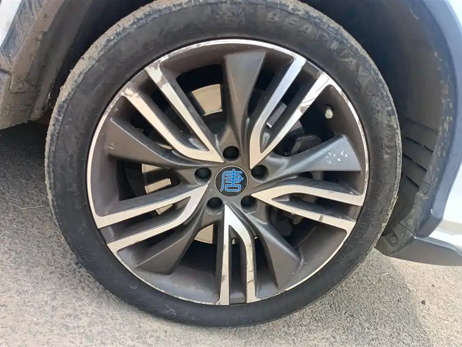 Tang NEV 2.0 T Full-time 4 WD Elegant Luxury