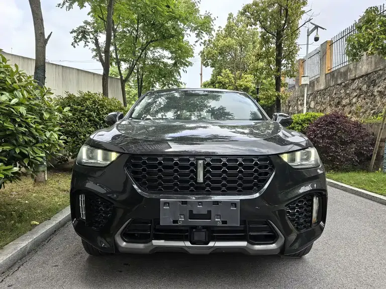 WEY VV5 2.0 T Super Luxury