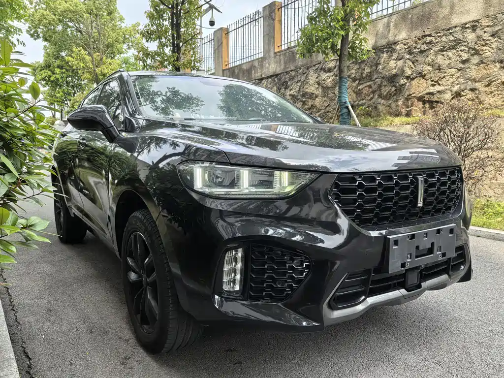 WEY VV5 2.0 T Super Luxury