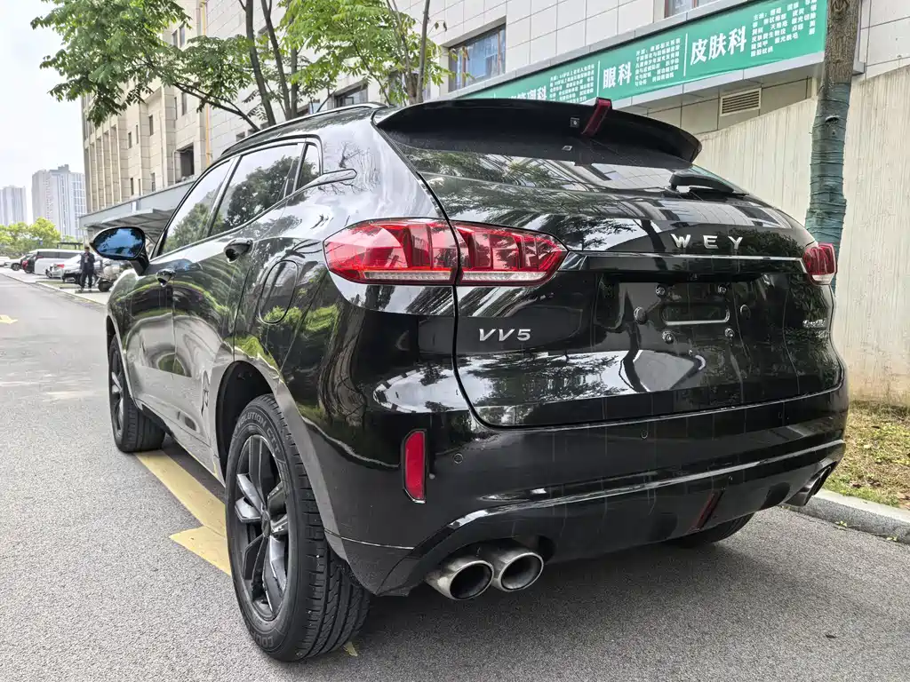 WEY VV5 2.0 T Super Luxury