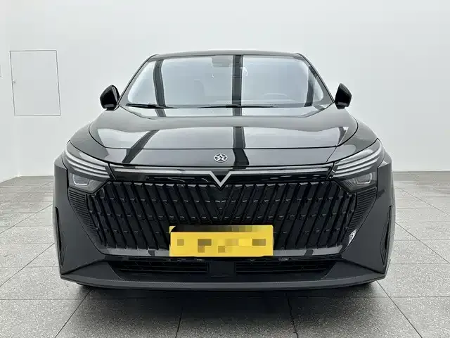 Venucia Big V DD-i 110 km iE