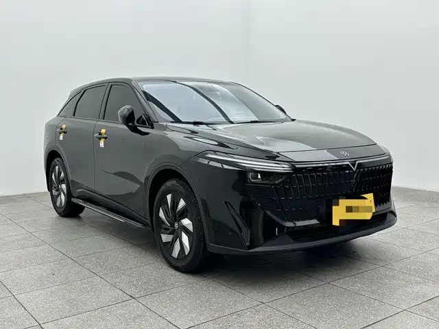 Venucia Big V DD-i 110 km iE