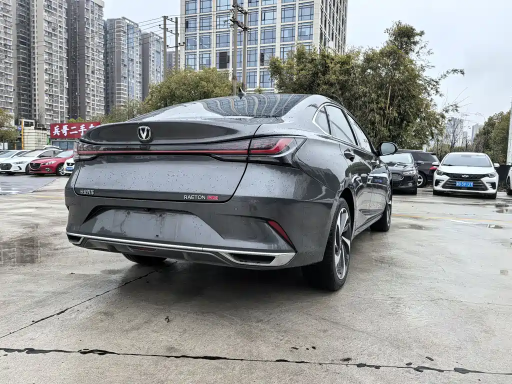 Ruicheng PLUS 1.5 T DCT Distinguished