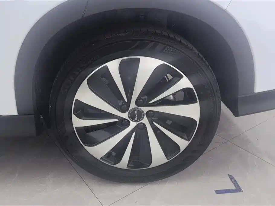 Song PLUS NEV Champion DM-i 110 KM Flagship PLUS