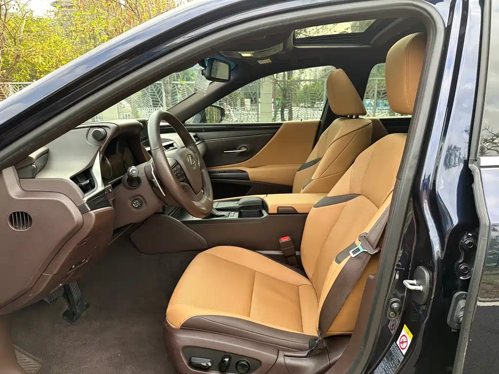 Lexus ES 300 h Outstanding CN-V