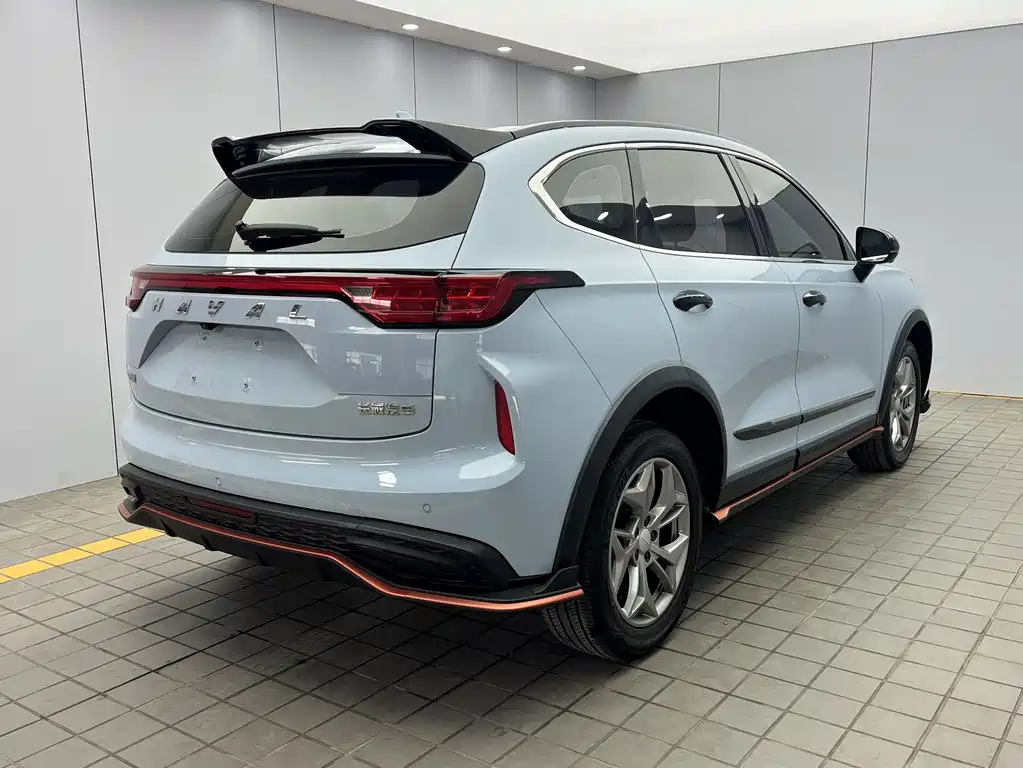 Haval Chitu Power Enjoyment 1.5 T Bronze Rabbit
