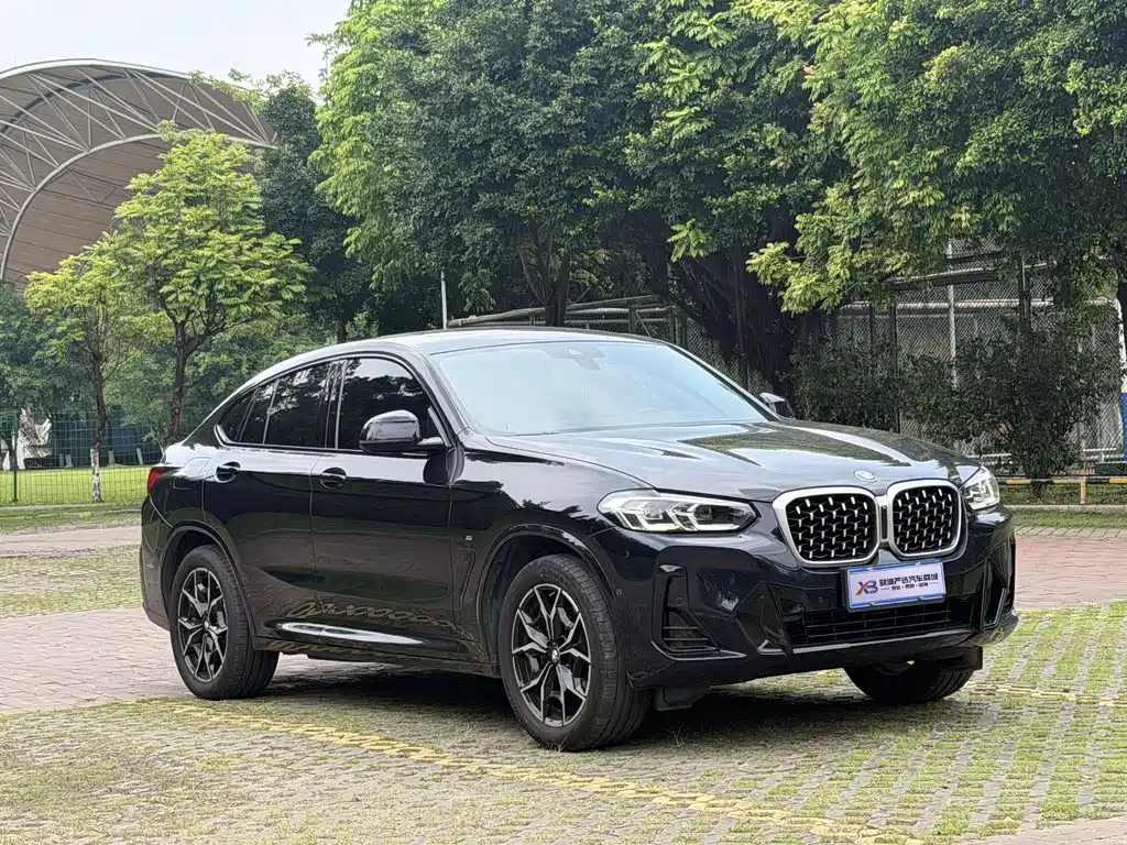 BMW X4 xDrive 25 i M Sport Package