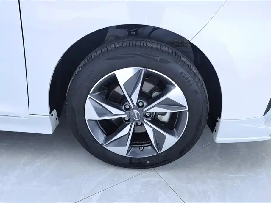 GAC Trumpchi M6 PRO 270 T DCT Luxury