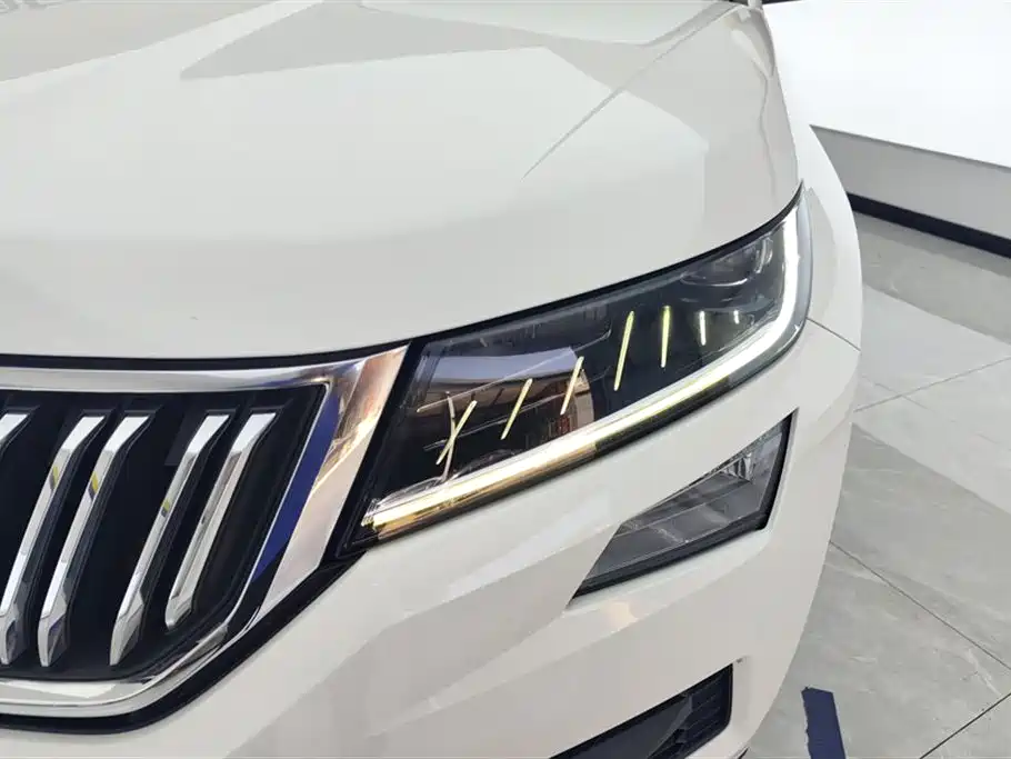 Kodiaq TSI330 5-seat 2 WD Luxury Enjoyment