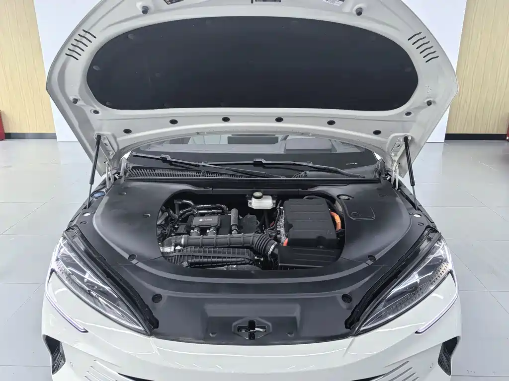 Seal 07 DM-i DM-i 1.5 L 125 km Distinguished