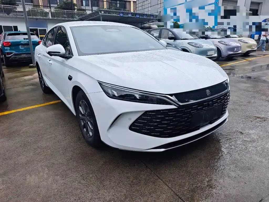 Qin L DM-i Smart Drive 80 KM Leading