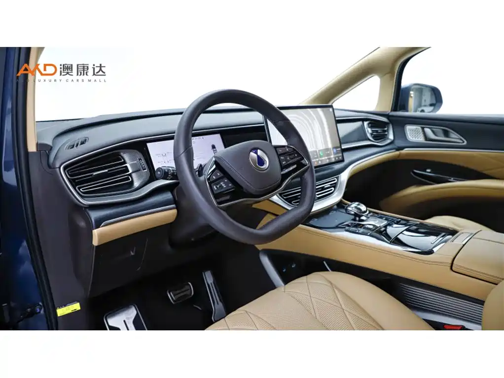 Denza D9 腾势D9/1.5 T/25款/DM-i智驾版1020四驱旗舰型
