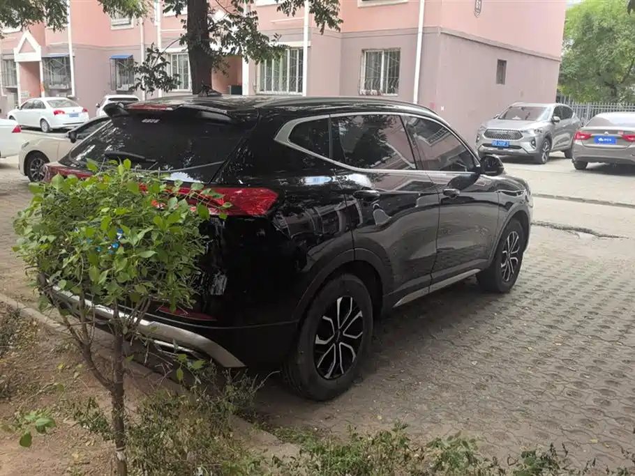 Haval H6 China Style 1.5 T Auto Urban