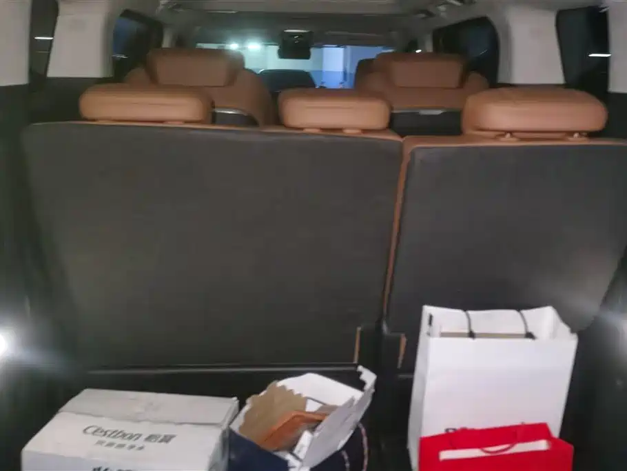 Hongqi H9 2.0 T Connected Flagship