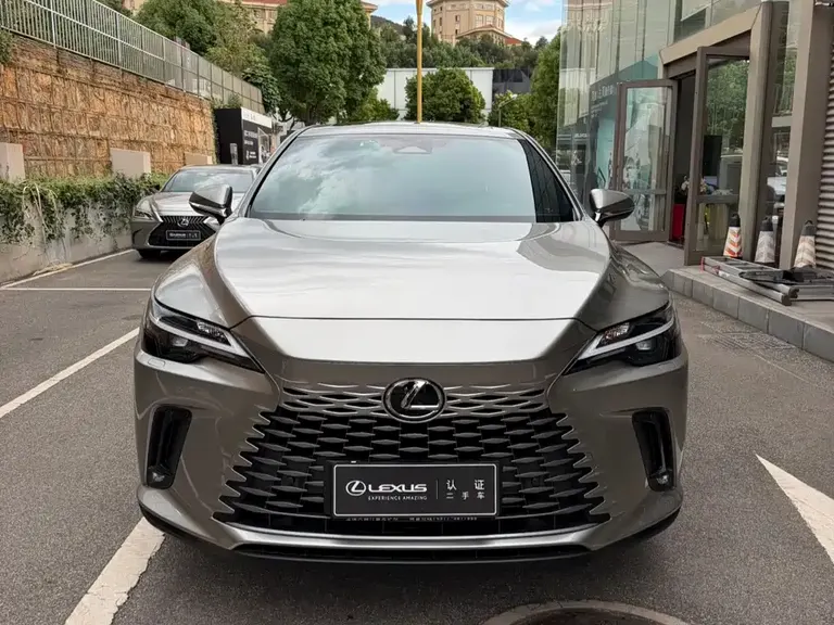 Lexus RX 300 4 WD Enjoyment