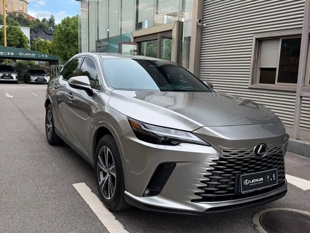 Lexus RX 300 4 WD Enjoyment