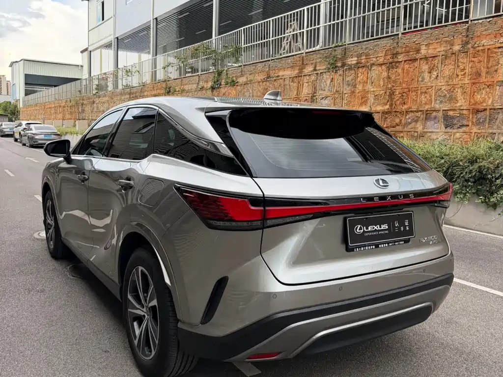 Lexus RX 300 4 WD Enjoyment