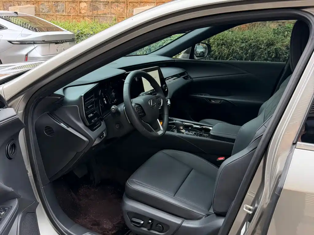 Lexus RX 300 4 WD Enjoyment