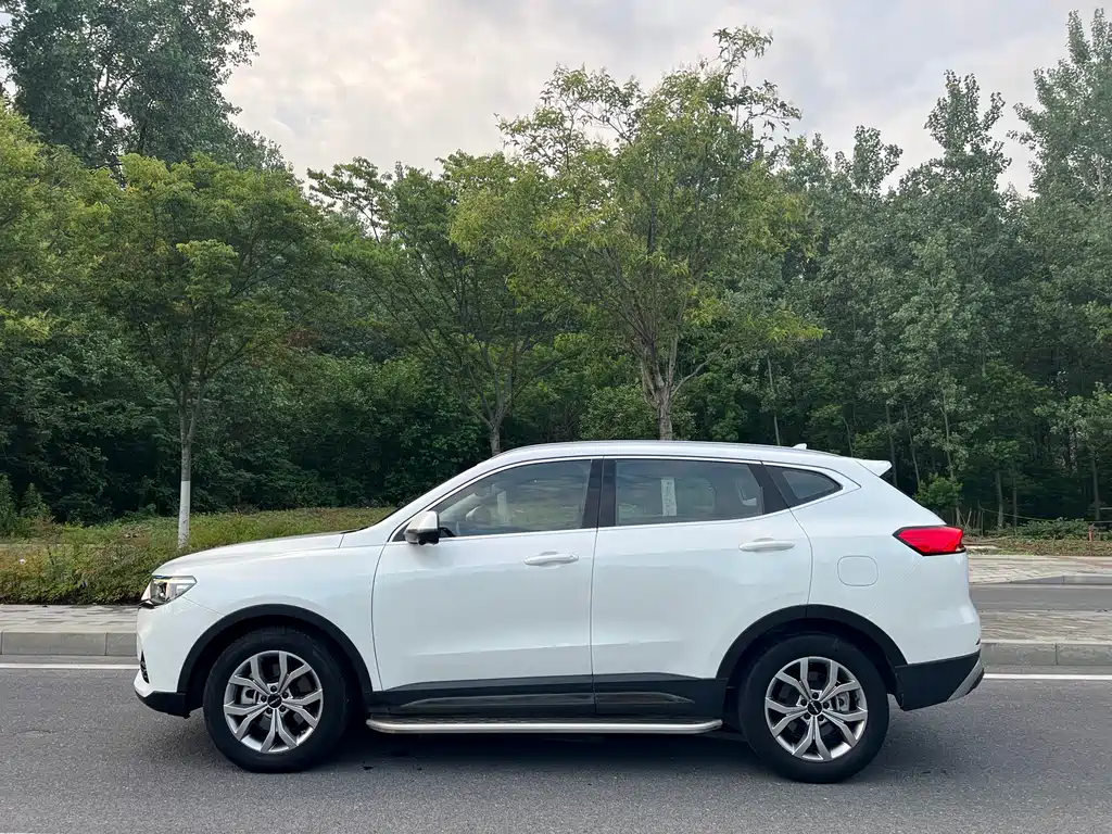 Haval H6 China Style 1.5 T Auto Champion