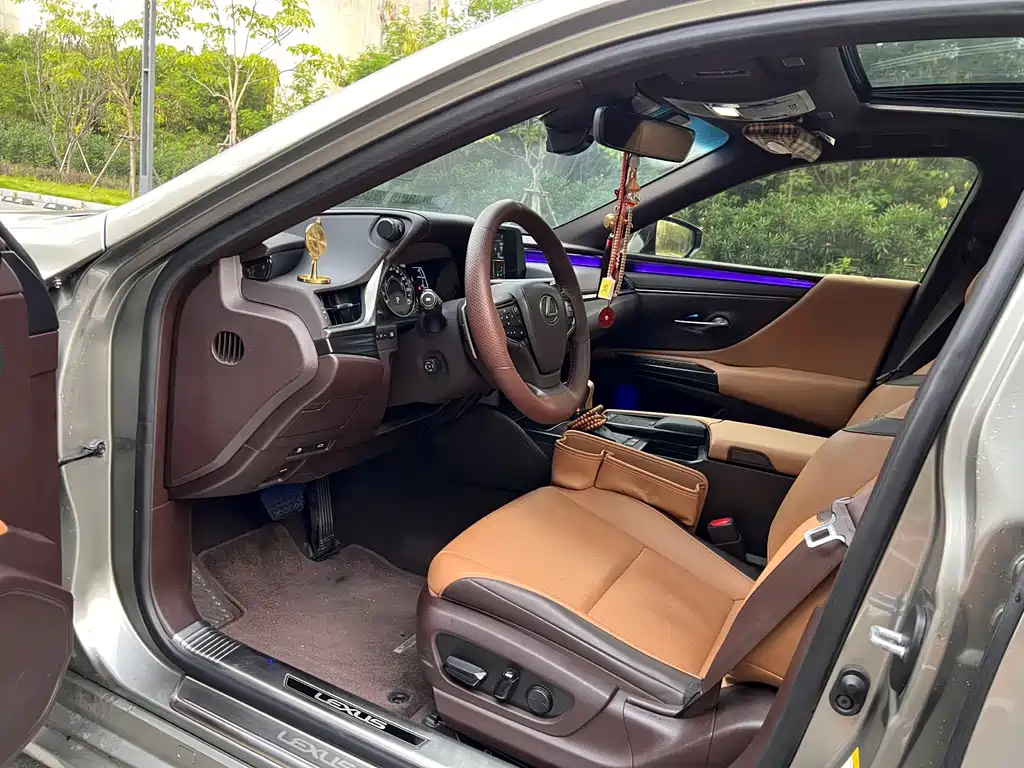 Lexus ES 300 h Outstanding CN-VI