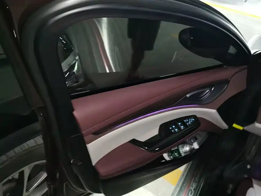 Seal DM-i 1.5 L 121 km Distinguished
