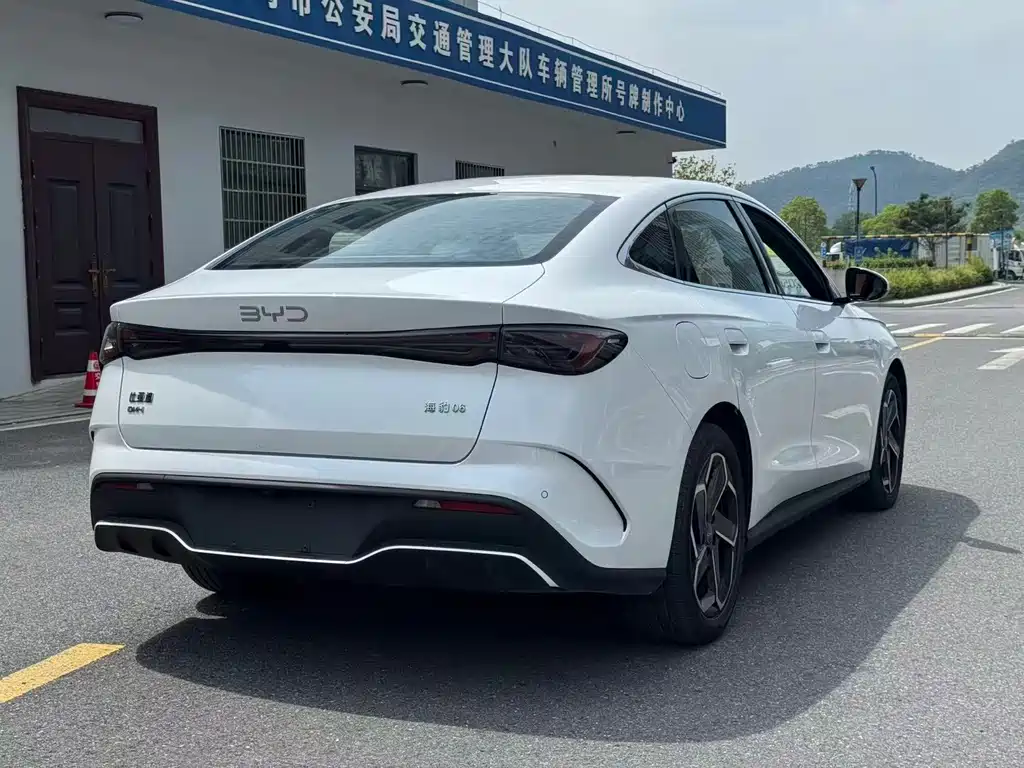 Seal 06 DM-i 120 KM Flagship