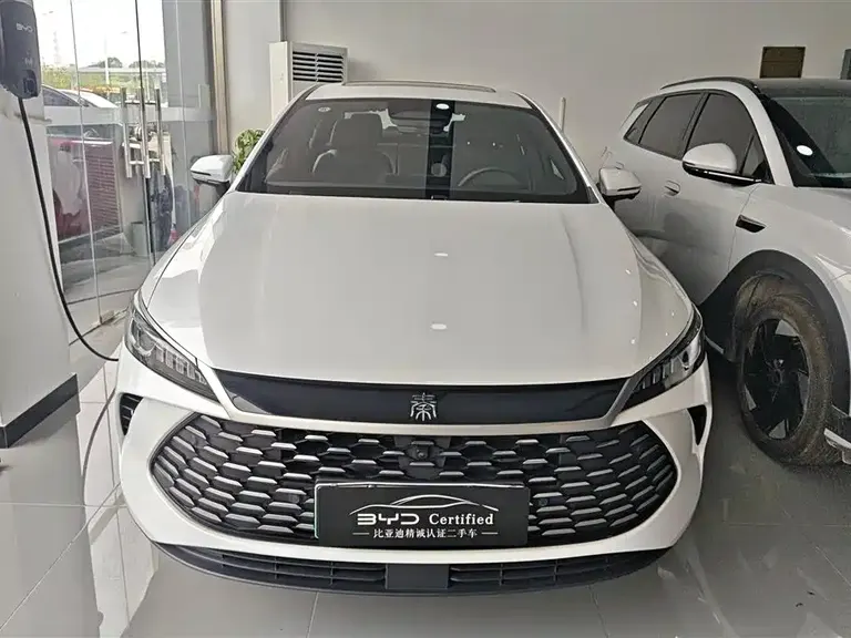 BYD Qin PLUS DM-i Smart Drive 55 KM Transcend
