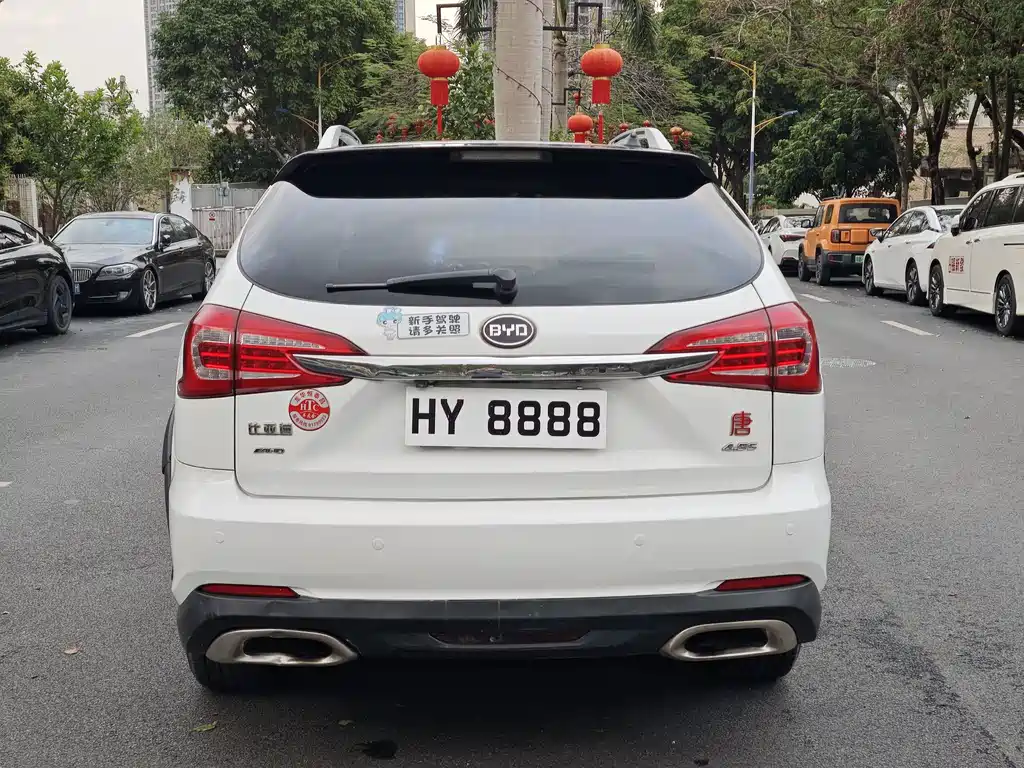 Tang NEV 2.0 T 4 WD Flagship