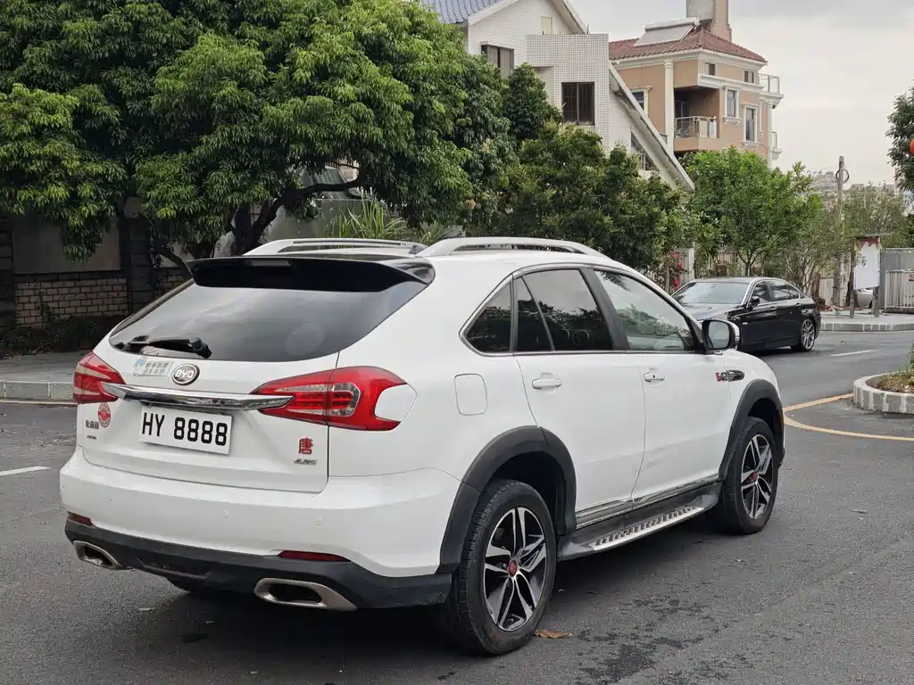 Tang NEV 2.0 T 4 WD Flagship