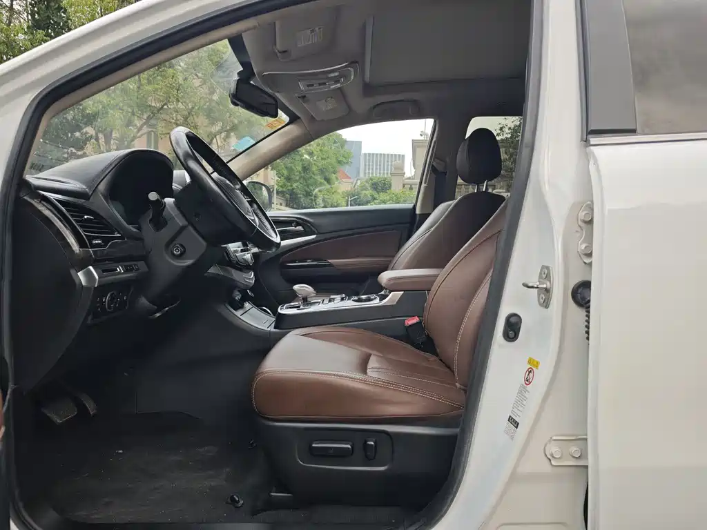 Tang NEV 2.0 T 4 WD Flagship