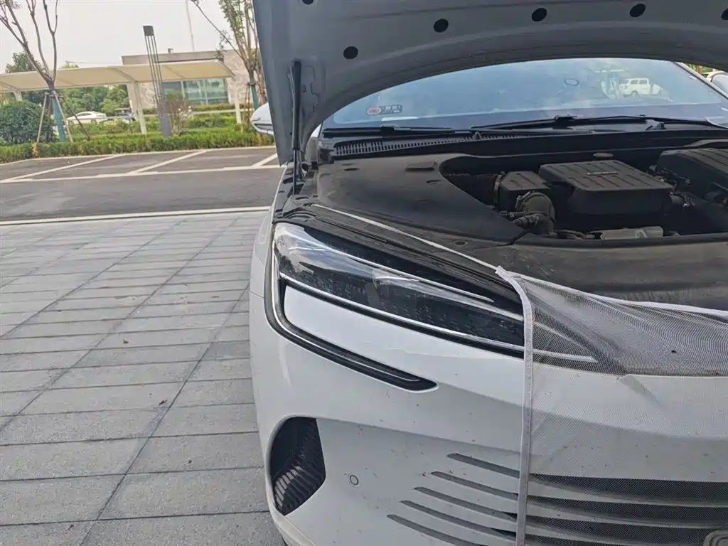 Seal DM-i 1.5 T 121 km Flagship