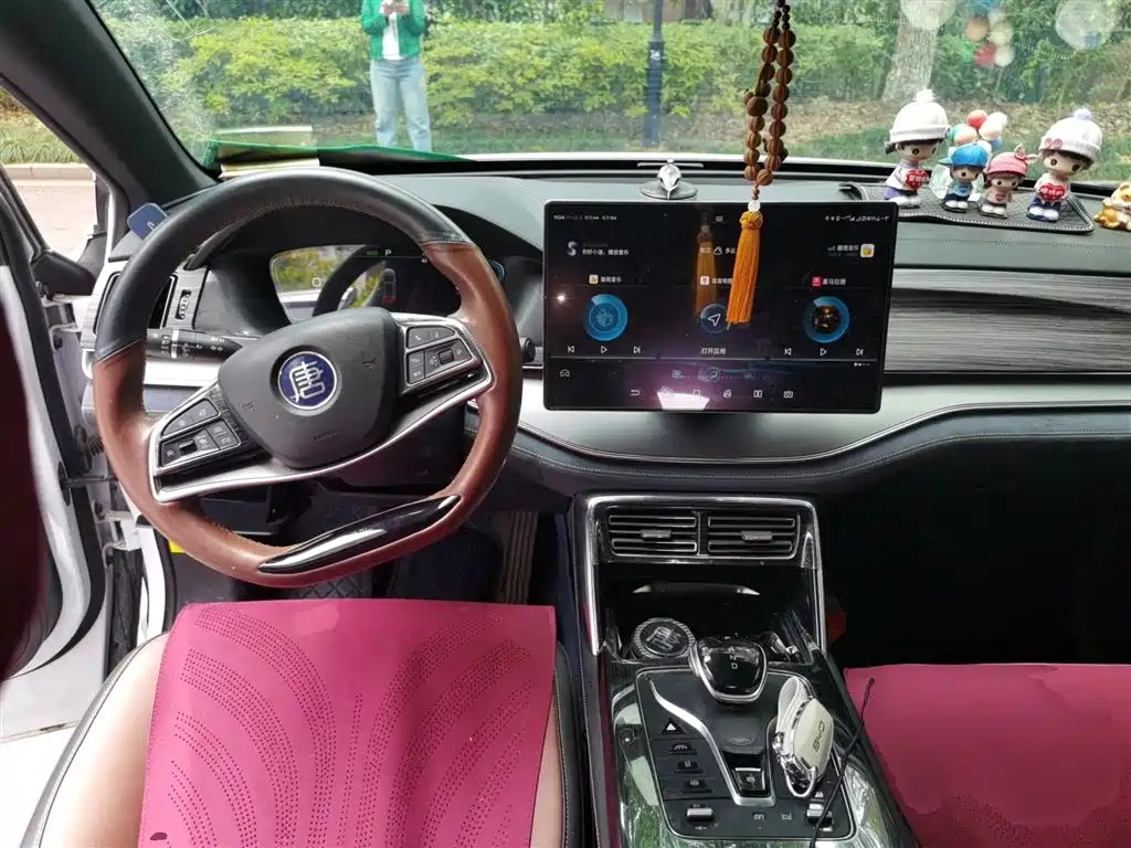 Tang NEV DM 2.0 T 4 WD High Performance Honored