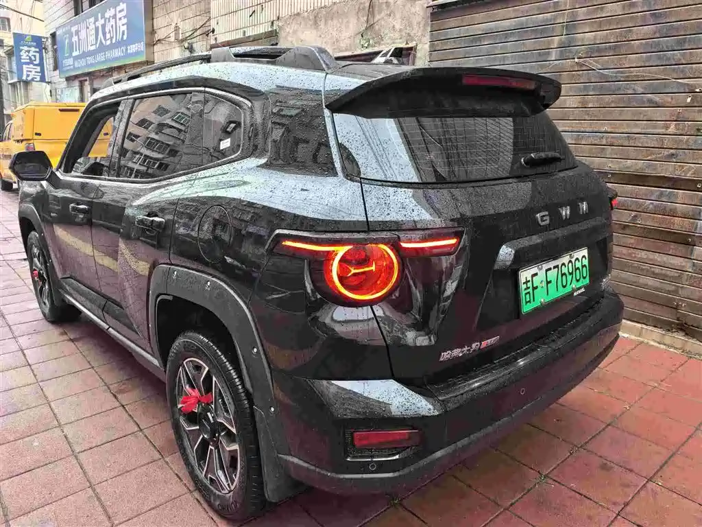 Haval Dargo PLUS NEV Hi4 150 km Trend Electric