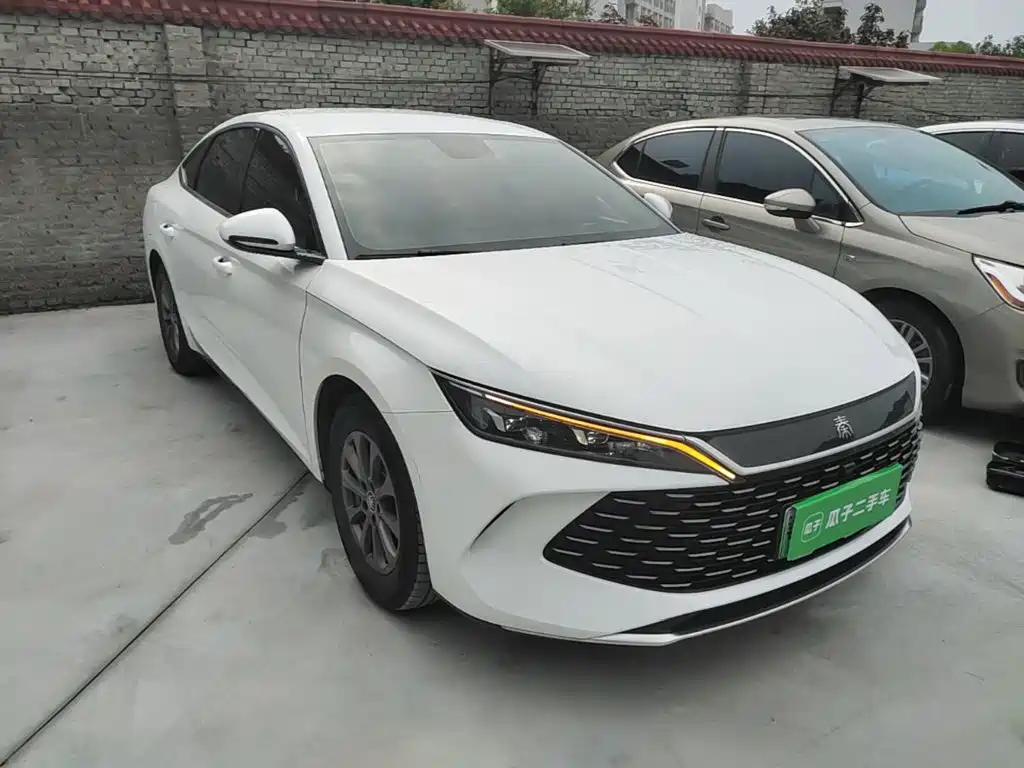 Qin L DM-i 80 KM Leading