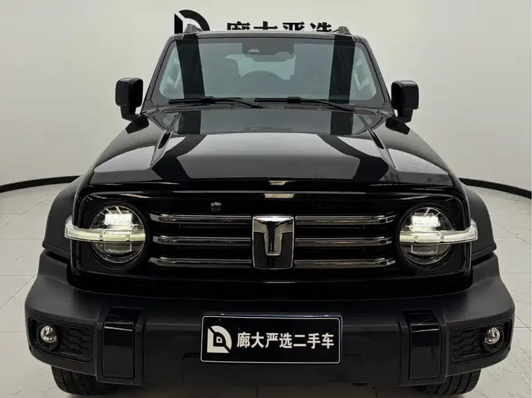 Tank 300 2.0 T Cross