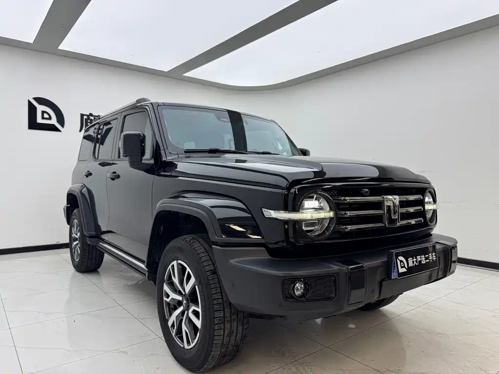 Tank 300 2.0 T Cross