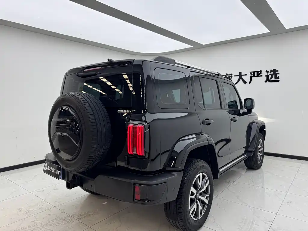 Tank 300 2.0 T Cross